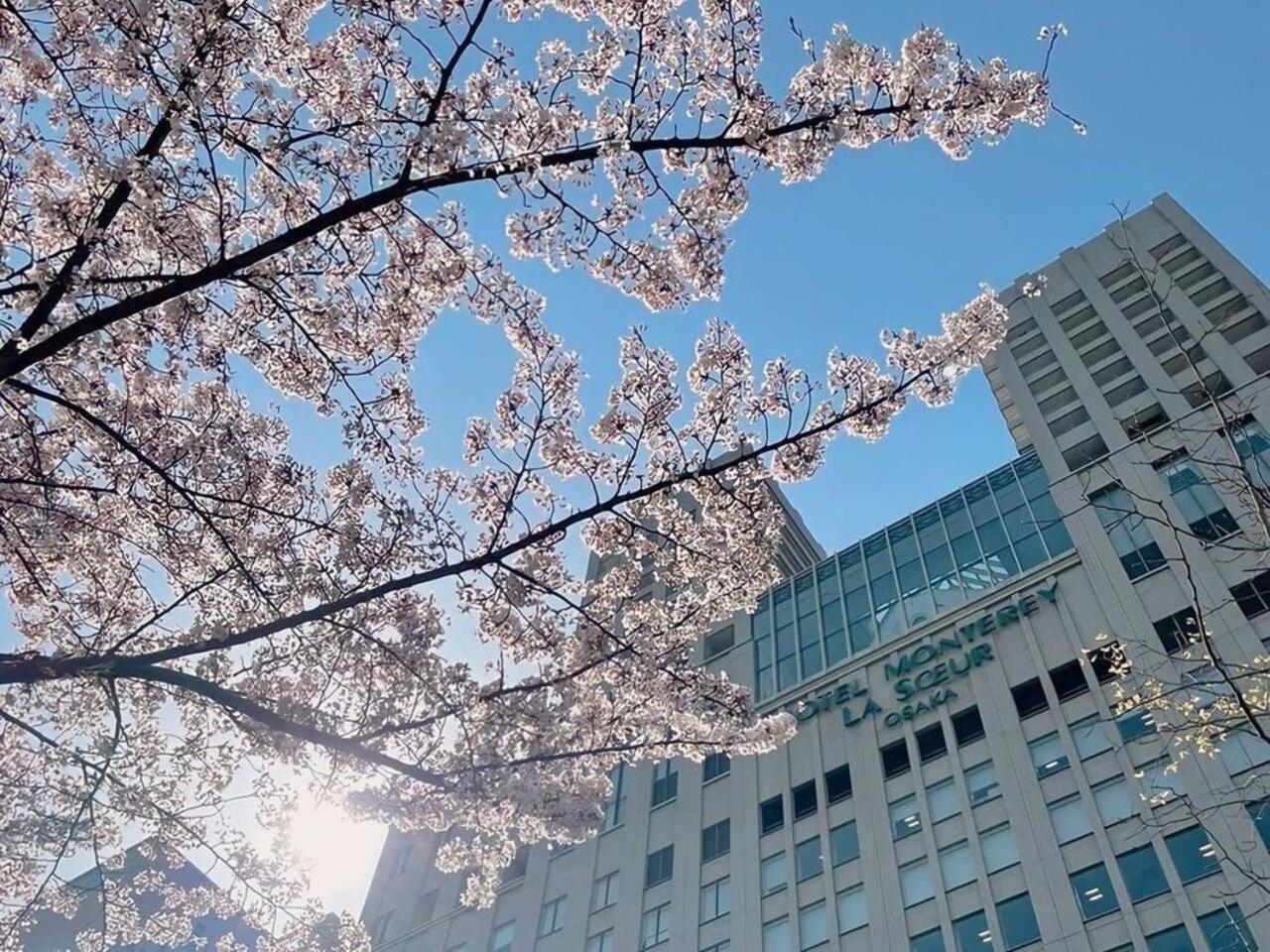 Hotel Monterey La Soeur Osaka Eksteriør billede