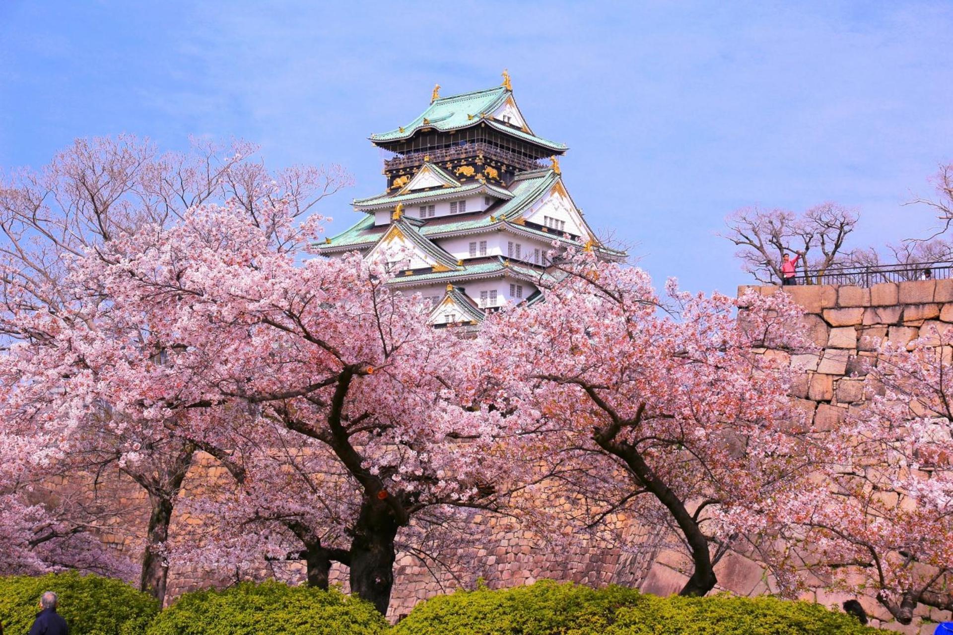 Hotel Monterey La Soeur Osaka Eksteriør billede